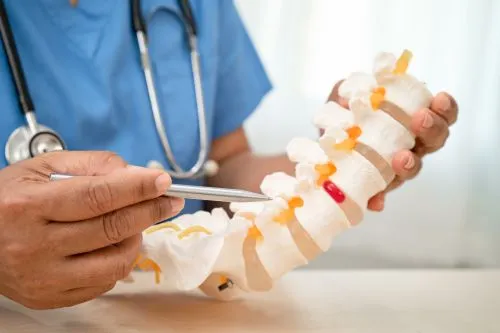 Doctor y modelo de columna vertebral
